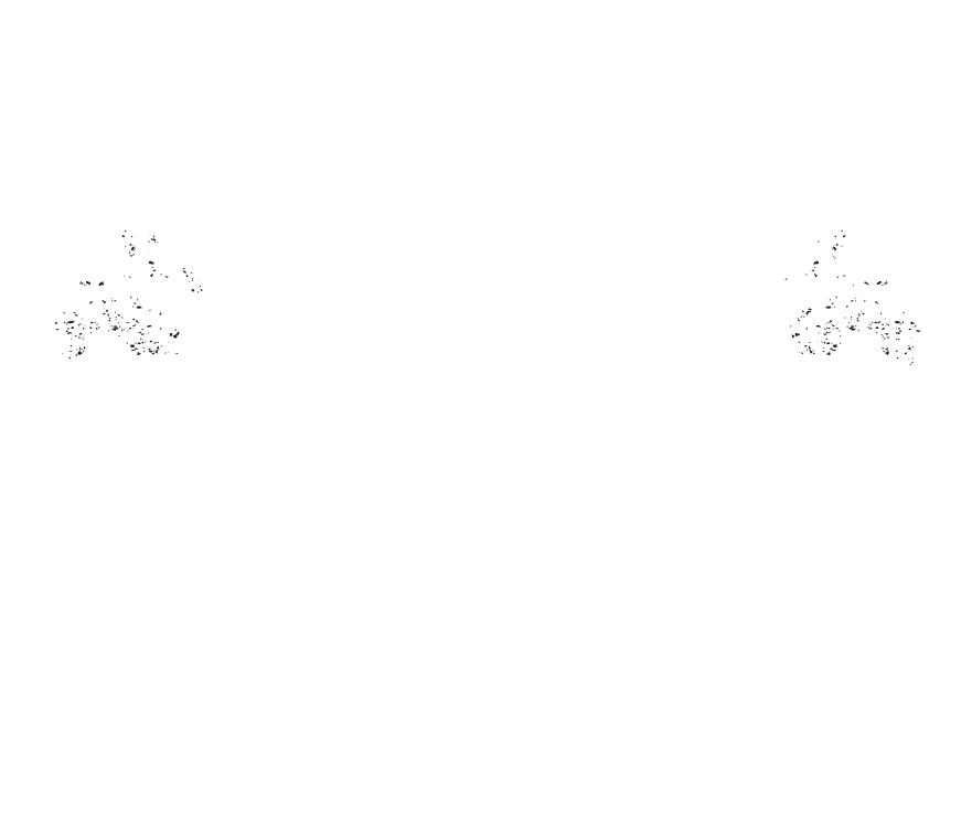 South Coast Ale Trail