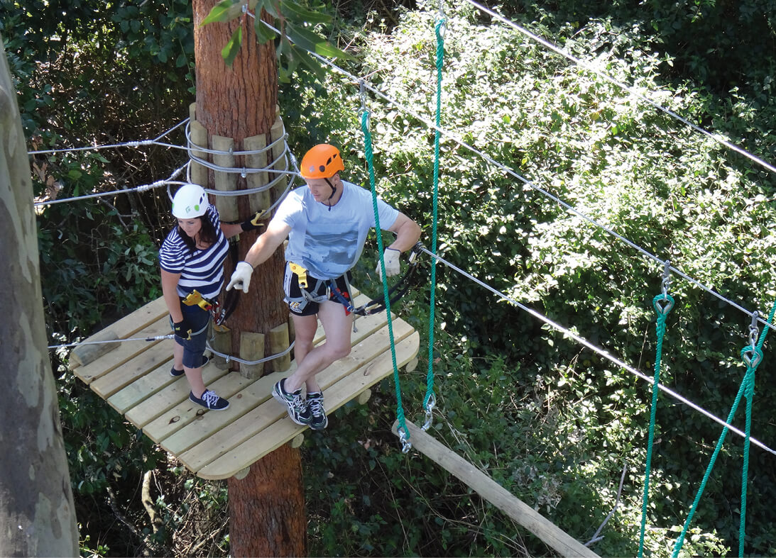 Tree tops adventure Nowra