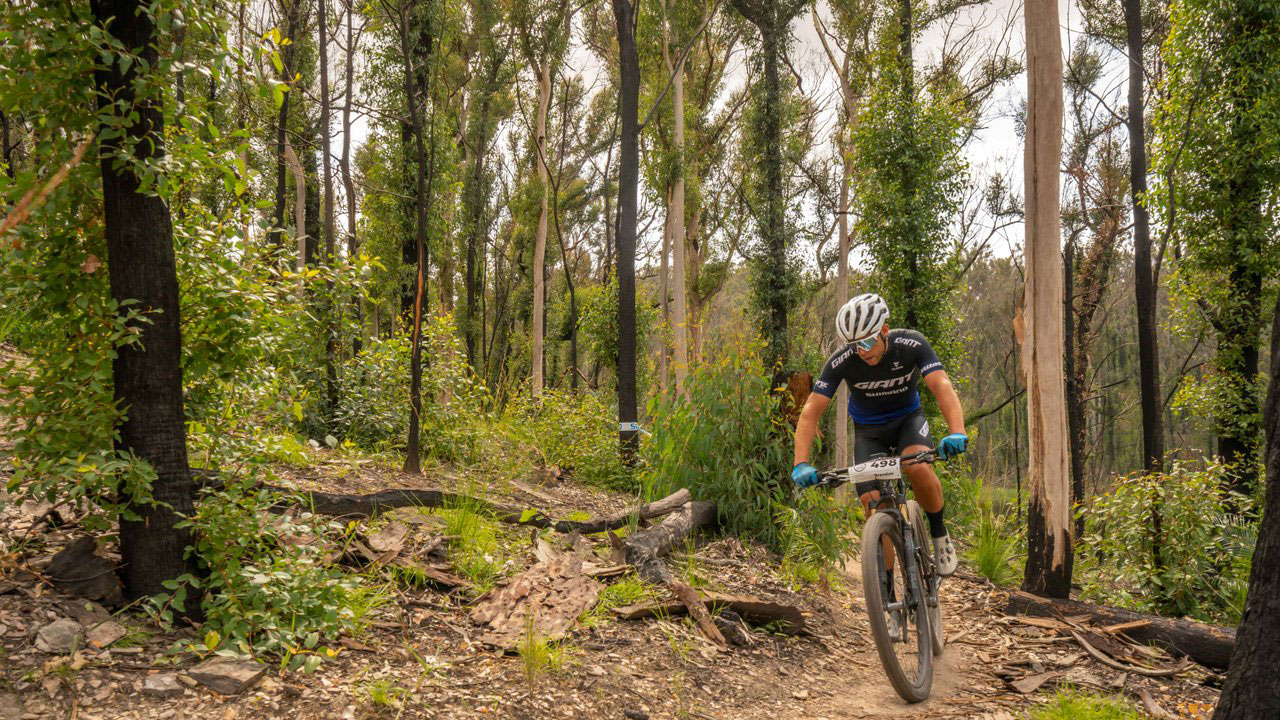 Mountain Biking South Coast