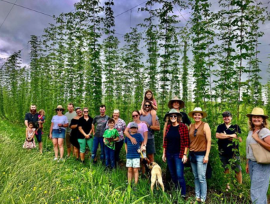 Ryefield Hops Farm Tours