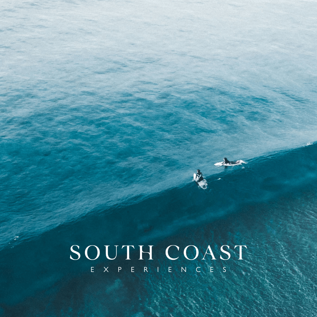 south coast experiences