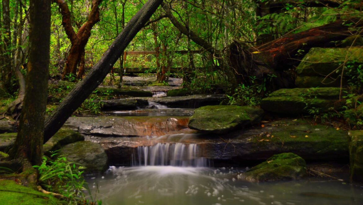 The Grotto Walk